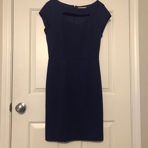 Banana Republic Dress Size 4